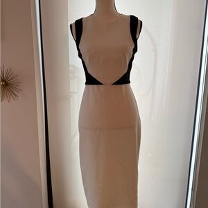 Maggy London Elegant Black and Cream Midi Dress